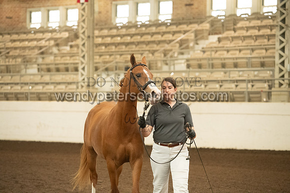 20126R115-0508-Do_not_copy_PROOF