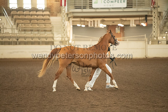20126R115-0517-Do_not_copy_PROOF