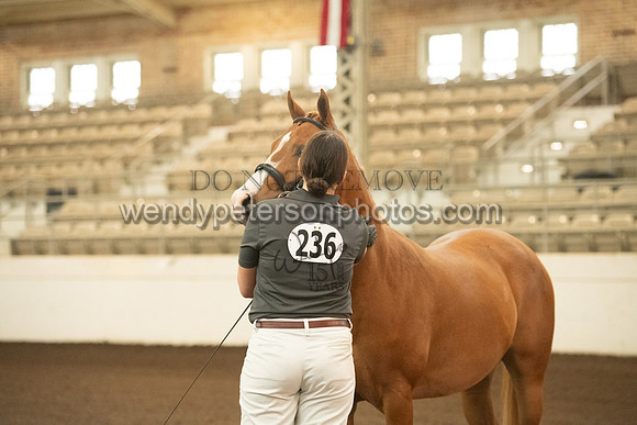 20126R115-0504-Do_not_copy_PROOF