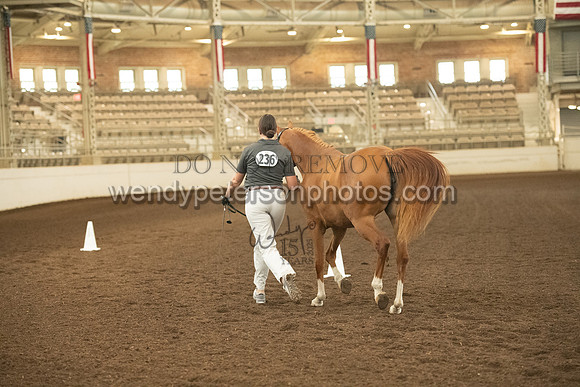 20126R115-0521-Do_not_copy_PROOF