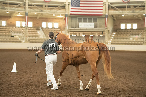 20126R115-0509-Do_not_copy_PROOF