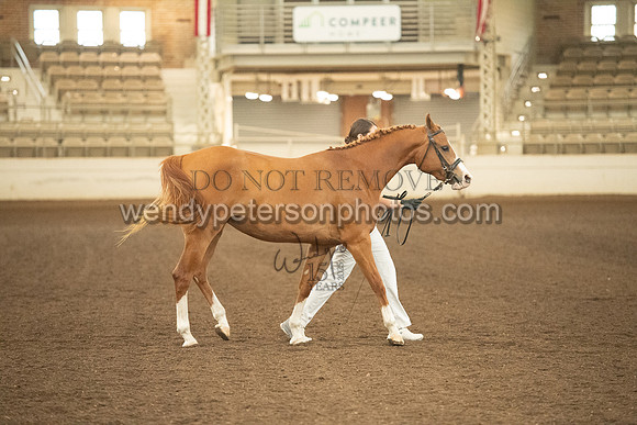 20126R115-0520-Do_not_copy_PROOF