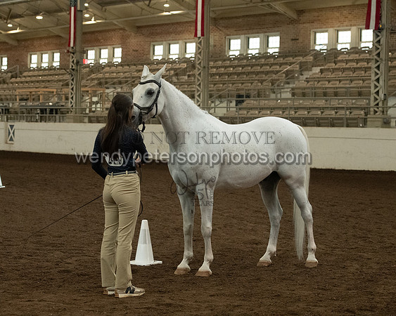 20126R115-0831-Do_not_copy_PROOF