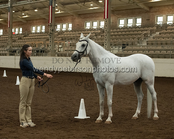 20126R115-0833-Do_not_copy_PROOF