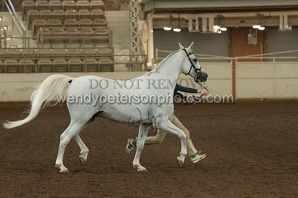 20126R115-0840-Do_not_copy_PROOF