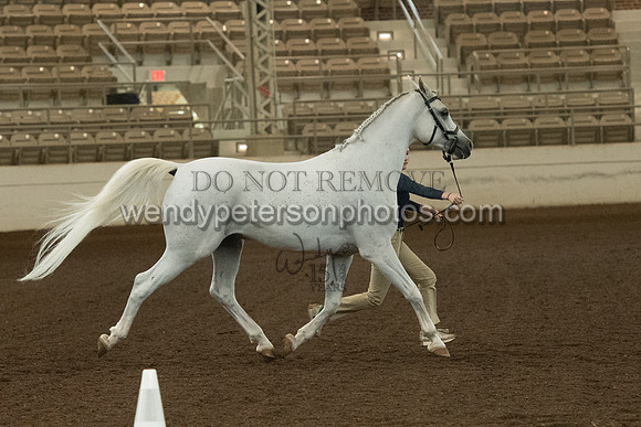 20126R115-0839-Do_not_copy_PROOF