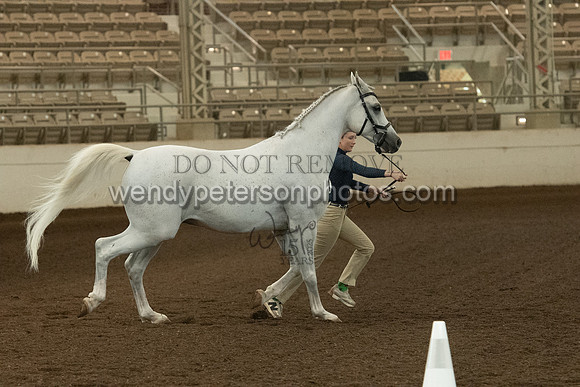 20126R115-0838-Do_not_copy_PROOF