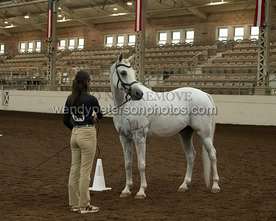 20126R115-0832-Do_not_copy_PROOF