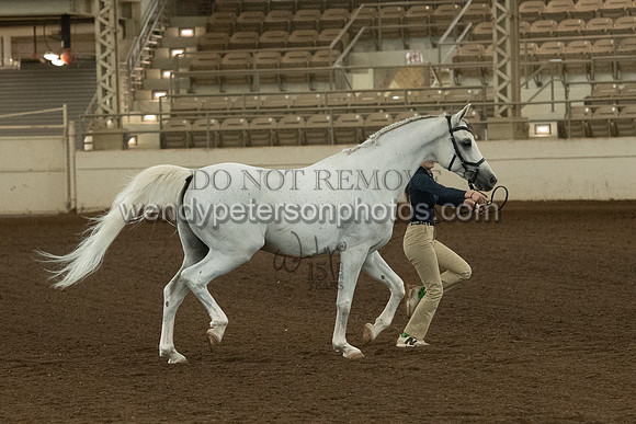 20126R115-0841-Do_not_copy_PROOF