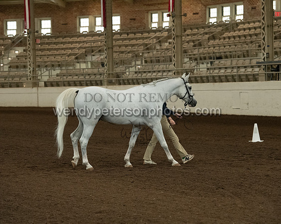 20126R115-0835-Do_not_copy_PROOF