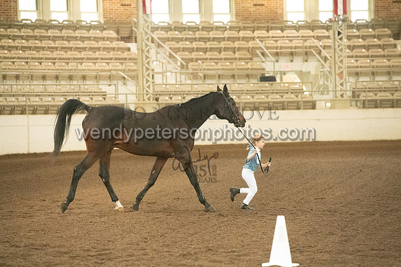 20126R115-0651-Do_not_copy_PROOF