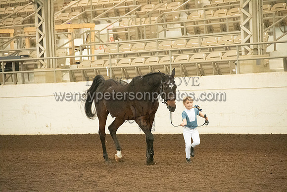 20126R115-0656-Do_not_copy_PROOF