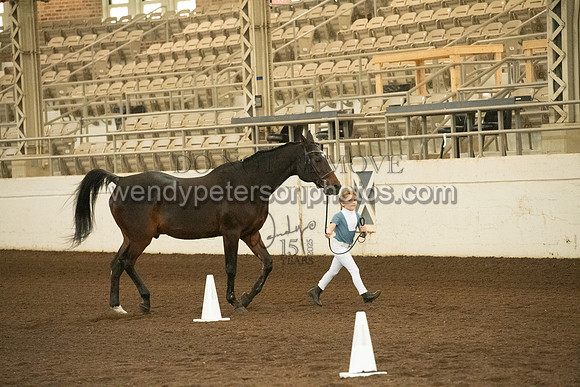 20126R115-0655-Do_not_copy_PROOF
