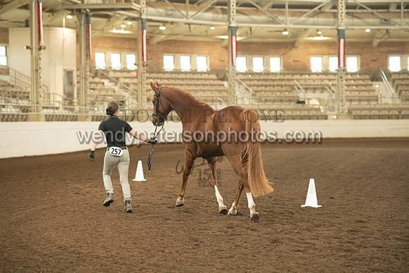 20126R115-0531-Do_not_copy_PROOF