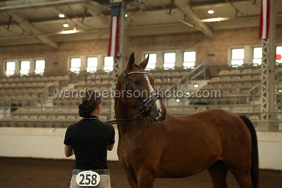20126R115-0612-Do_not_copy_PROOF