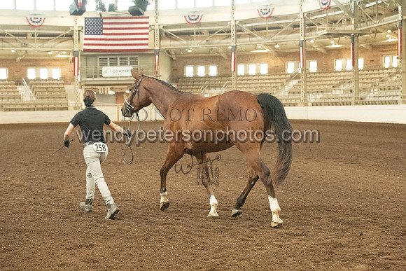20126R115-0618-Do_not_copy_PROOF