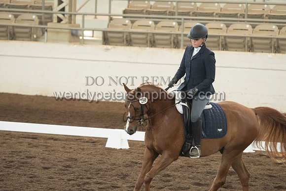 260_2295-Do_not_copy_PROOF