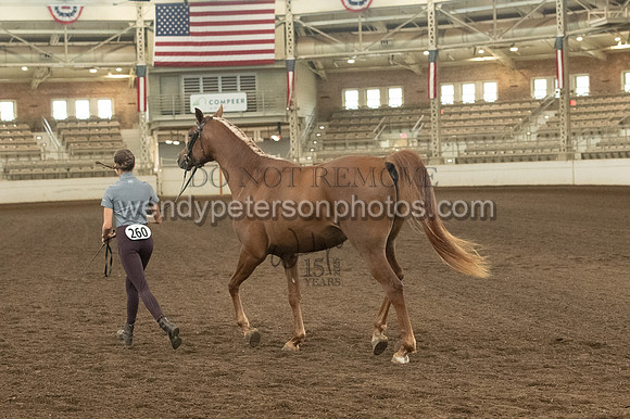 20126R115-0791-Do_not_copy_PROOF