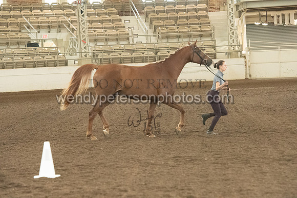 20126R115-0793-Do_not_copy_PROOF
