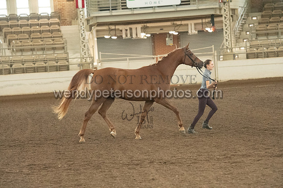 20126R115-0794-Do_not_copy_PROOF