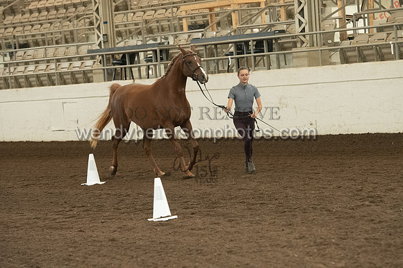 20126R115-0797-Do_not_copy_PROOF