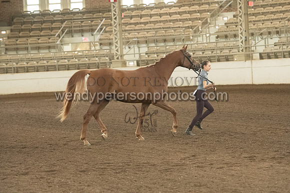 20126R115-0795-Do_not_copy_PROOF