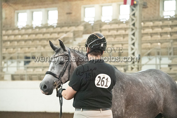 20126R115-0375-Do_not_copy_PROOF