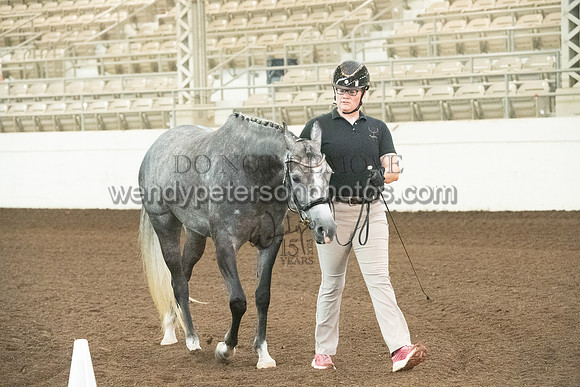 20126R115-0379-Do_not_copy_PROOF