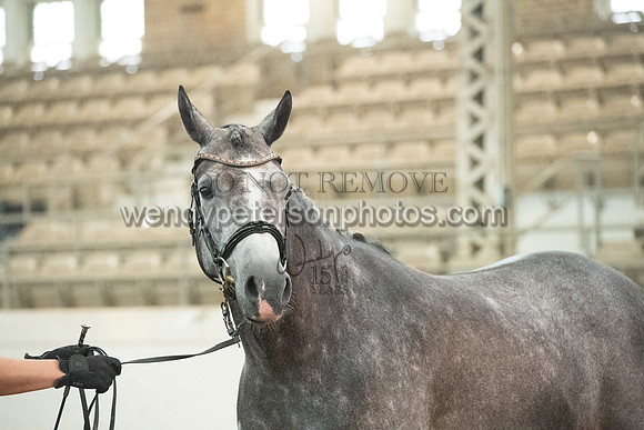 20126R115-0374-Do_not_copy_PROOF