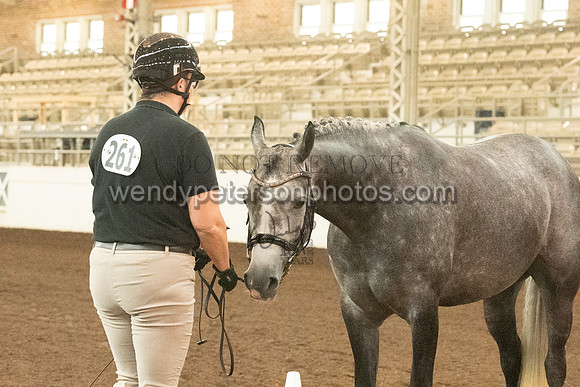 20126R115-0387-Do_not_copy_PROOF