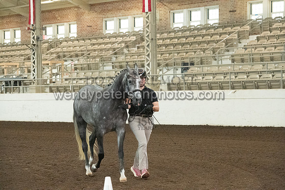 20126R115-0385-Do_not_copy_PROOF