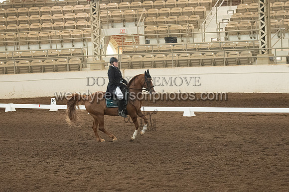 264_3068-Do_not_copy_PROOF