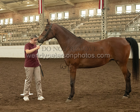 20126R115-0729-Do_not_copy_PROOF