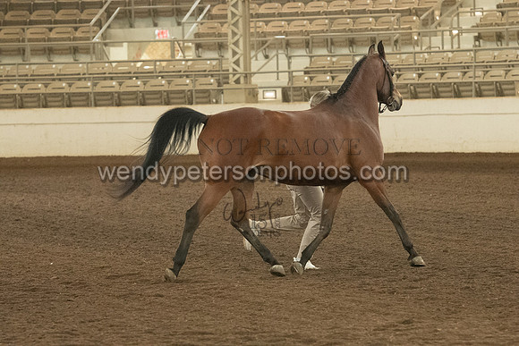 20126R115-0726-Do_not_copy_PROOF