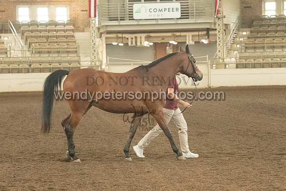 20126R115-0717-Do_not_copy_PROOF