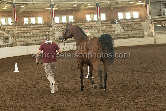 20126R115-0719-Do_not_copy_PROOF