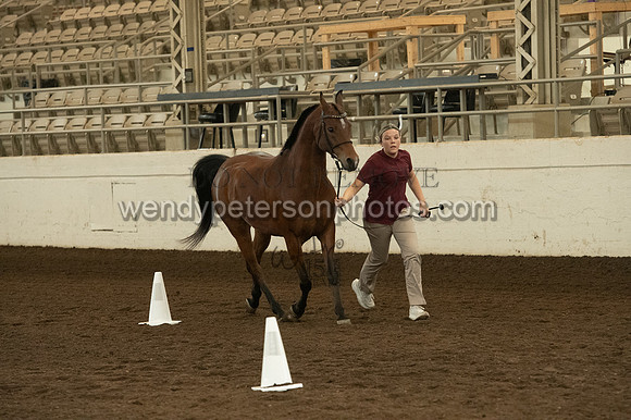 20126R115-0736-Do_not_copy_PROOF