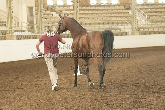 20126R115-0720-Do_not_copy_PROOF