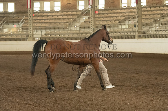 20126R115-0731-Do_not_copy_PROOF