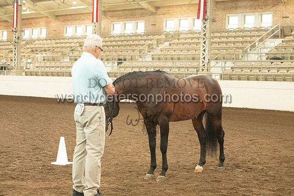 20126R115-0699-Do_not_copy_PROOF