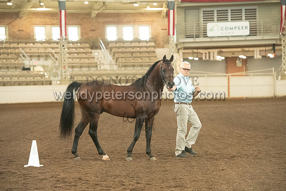 20126R115-0704-Do_not_copy_PROOF