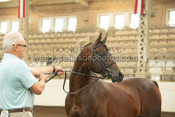 20126R115-0701-Do_not_copy_PROOF