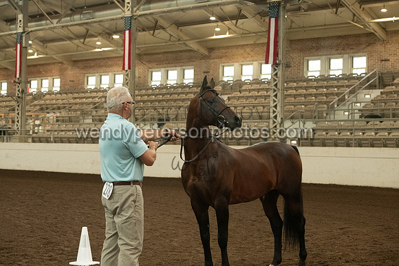20126R115-0700-Do_not_copy_PROOF