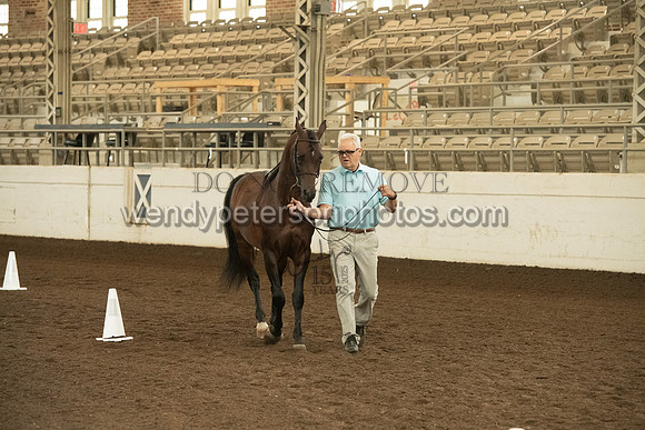 20126R115-0707-Do_not_copy_PROOF