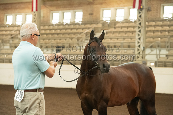 20126R115-0702-Do_not_copy_PROOF