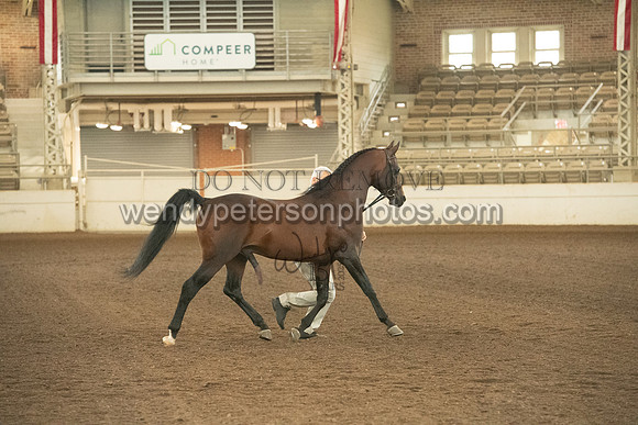 20126R115-0711-Do_not_copy_PROOF