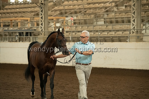 20126R115-0709-Do_not_copy_PROOF