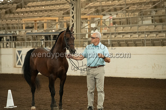 20126R115-0708-Do_not_copy_PROOF
