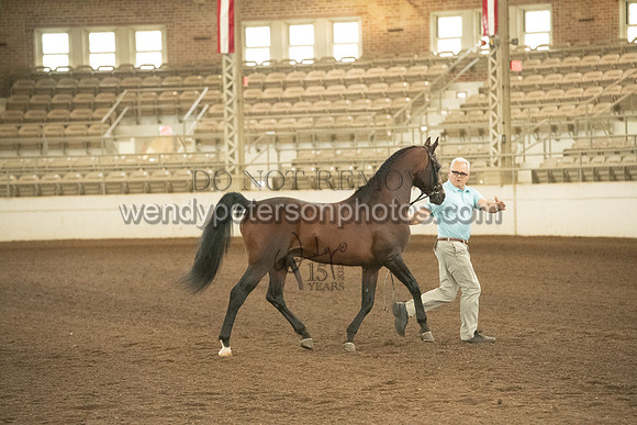 20126R115-0712-Do_not_copy_PROOF