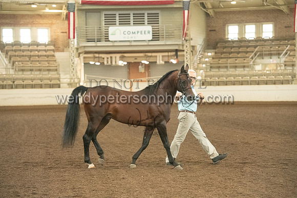 20126R115-0705-Do_not_copy_PROOF